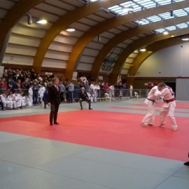 Provinciaal Kampioenschap Judo